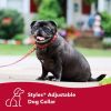 Coastal Pet Styles Adjustable Dog Collar Wildflower
