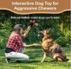 Spot Dura Fused Leather Jungle Animal Dog Toy