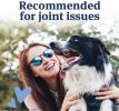 PetArmor Canine Asprin Chewable Tablets for Large Dogs