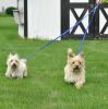 Coastal Pet Double Dog Walker Tangle Free Adjustable Leash