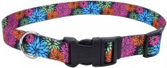 Coastal Pet Styles Adjustable Dog Collar Wildflower