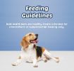 Blue Buffalo Health Bars Dog Biscuits - Baked with Apples & Yogurt