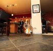 Chuckit Indoor Ball