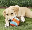 Chuckit Indoor Ball