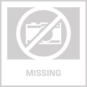 10' Retractable Dog Leash