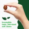 Greenies Hip and Joint Supplements for Dogs