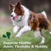 Greenies Hip and Joint Supplements for Dogs