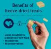 Stewart Freeze Dried Chicken Breast Treat