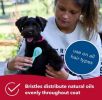 Lil Pals Combo Brush for Dogs