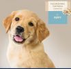 Magic Coat Professional Series Nourishing Oatmeal Puppy Shampoo