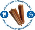 N-Bone Jumbo Puppy Teething Sticks Pumpkin Flavor