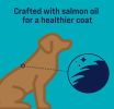 Stewart Shine Freeze Dried Salmon and Sweet Potato Treats with Omega-3 Fatty Acids