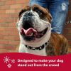 Coastal Pet Styles Adjustable Dog Collar Red Bones