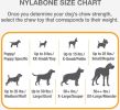 Nylabone Puppy Teether Chew Toy Small Vanilla Flavor