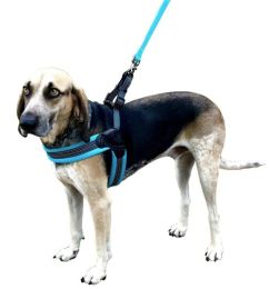 Sporn Easy Fit Dog Harness Blue (size: Large 1 count)