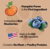 Emerald Pet Pumpkin Harvest Oven Baked Dog Treats with Blueberry