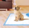 Four Paws Original Wee Wee Pads Floor Armor Leak-Proof System for All Dogs and Puppies