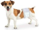 Four Paws Wee Wee Disposable Male Dog Wraps X-Small/Small