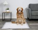 Hartz Home Protection Lavender Scent Odor Eliminating Dog Pads