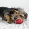 KONG Marathon Chicken Flavored Dog Chew Small
