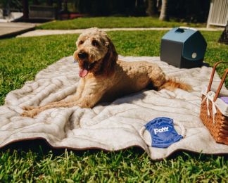 Paw PupRug Orthopedic Dog Bed White Small / Medium (size: 1 count)