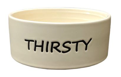Spot Thirsty Dog Dish Water Bowl (size: Small - 4 count)